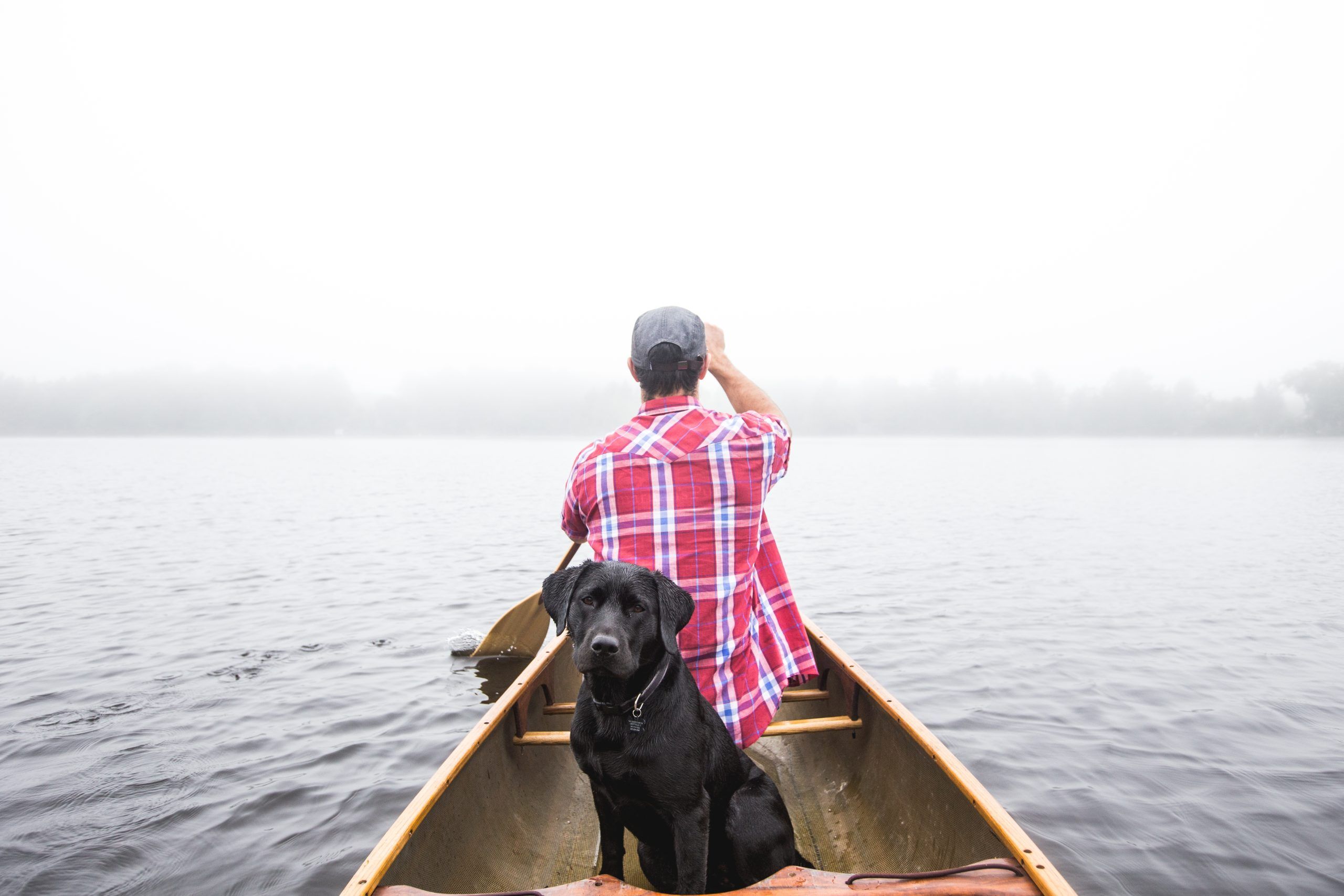 Pet-Friendly Kayaks